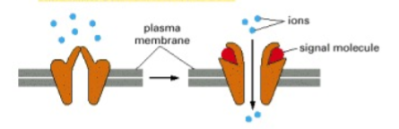 <p>What enzyme is this?</p>