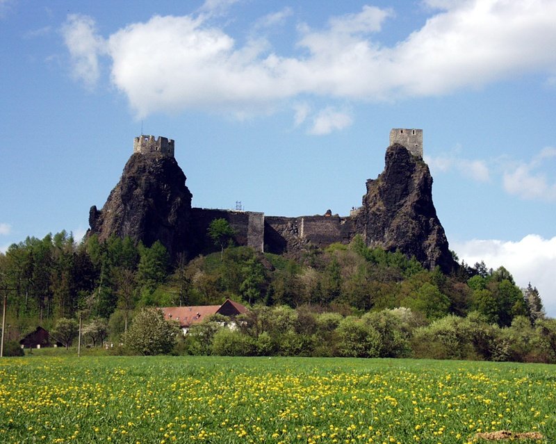 term image