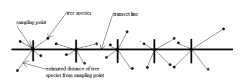 <ul><li><p><span style="background-color: transparent;">establish k points to sample, n observations are recorded at each point</span></p></li><li><p><span style="background-color: transparent;">a point is placed in the study area</span></p></li><li><p><span style="background-color: transparent;">observer spends a predetermined amount of time at the point attempting to detect individuals</span></p></li><li><p><span style="background-color: transparent;">the count of individuals is recorded as well the distance of each from the observer</span></p></li></ul><p></p>