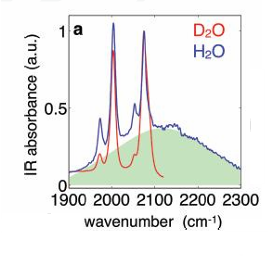 <p>The energy is released in order to relax, this can go out into solution. This can cause strong transitions between the excited state and a solvent (such as water). A stronger interaction between them means relaxation happens faster.</p><ul><li><p>Water can allow H-bonding to excited states which can also interact.</p></li></ul><p></p>