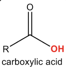 <p>carboxylic acid </p>