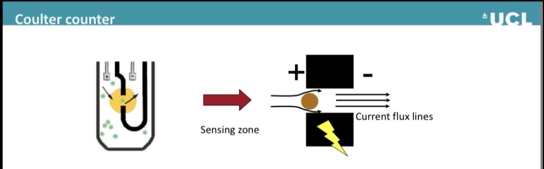 <p>It is a measurement by conductivity, a type of electrical sensing zone method</p><p>As particles pass through the aperture opening , they bend the current flux lines around the particles</p><p>This causes a longer length for the current to pass and a higher resistance to the current</p><p>The amplitude of this current pulse is directly proportional to the volume of the particle that produced it</p>