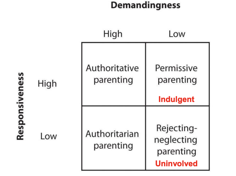 <ul><li><p>Authoritative is slightly favored (higher achievement + esteem, fewer behavioral problems) </p></li><li><p>Uninvolved is universally recognized as the worst</p></li><li><p>Culture matters</p><ul><li><p>Certain styles may be more common and/or effective</p></li><li><p>Some cultures have complex parenting styles that do not fit into it at all</p></li></ul></li></ul><p></p>