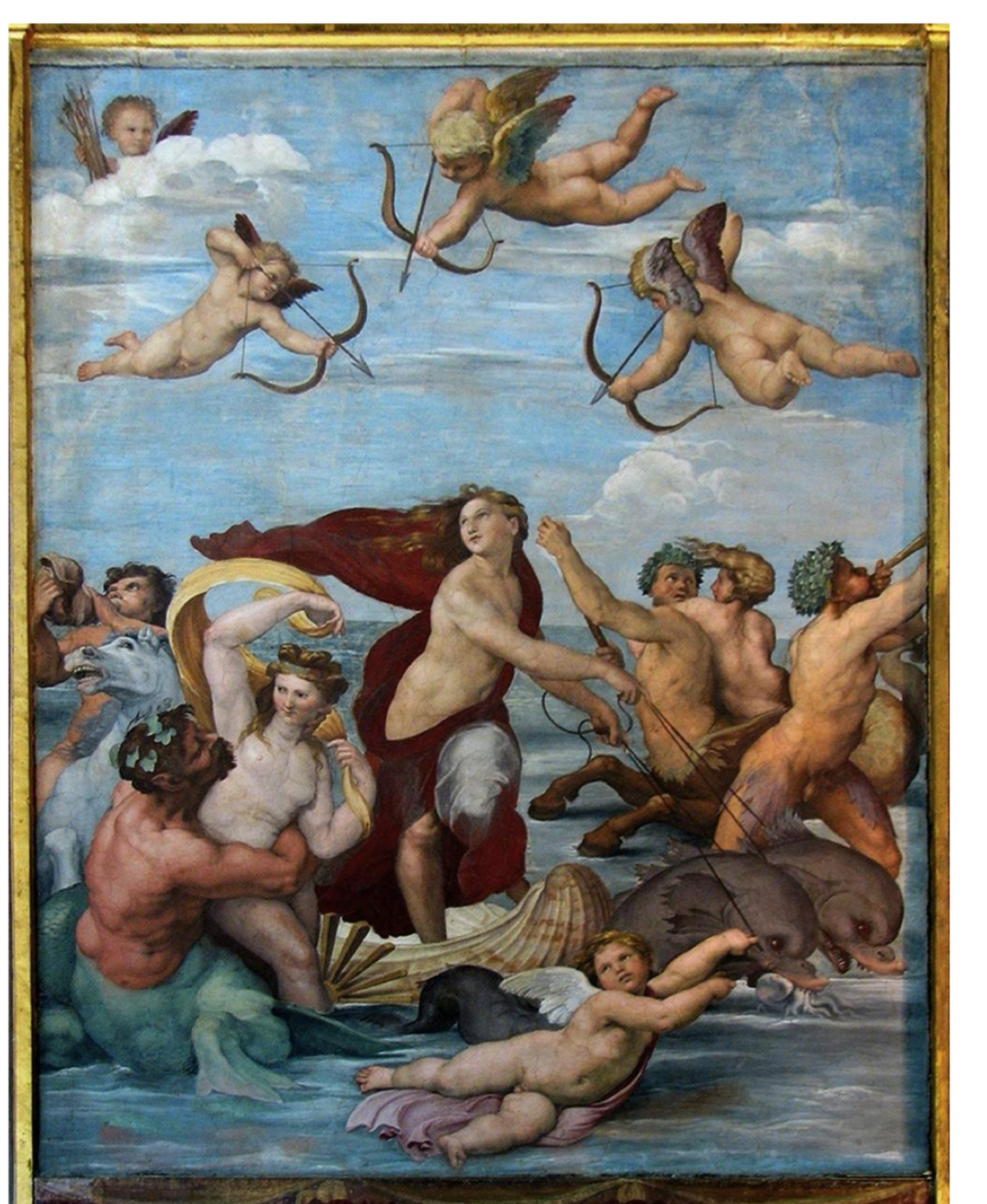 term image