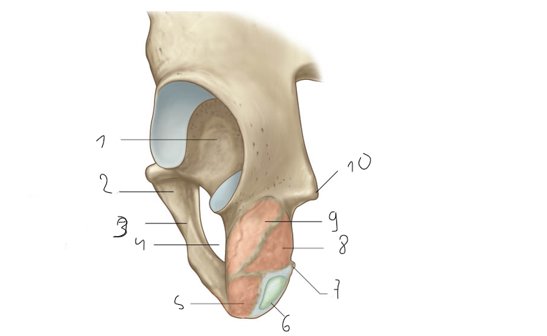 <p>3</p>