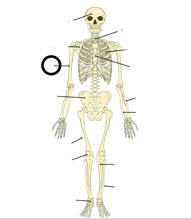 <p></p>