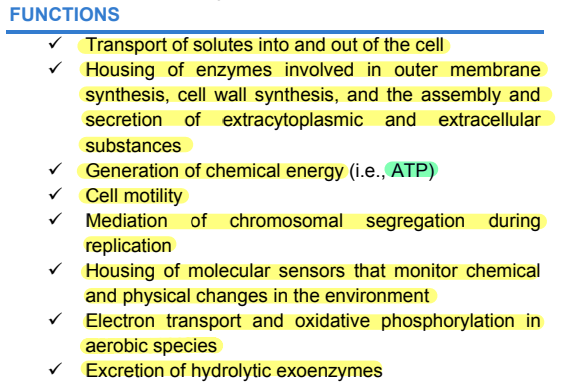 <p>CELL ENVELOPE COMPOSITION</p>