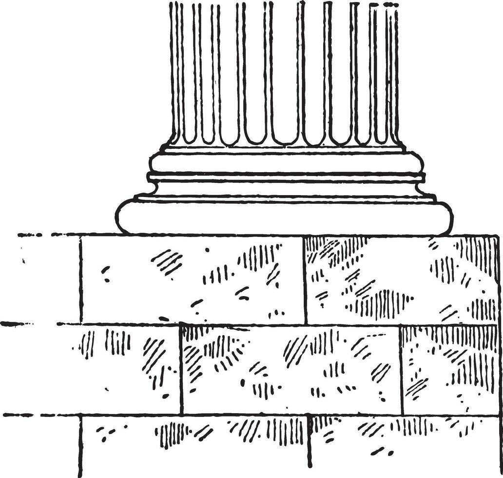 <p>Stylobat</p>