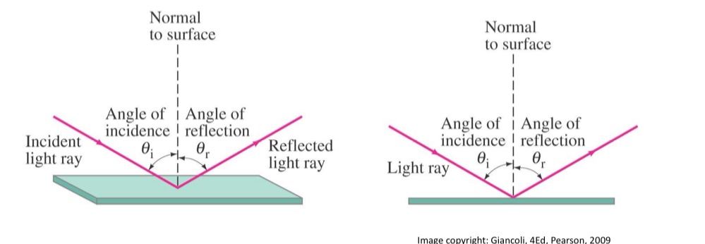 <p>Law of Reflection</p><ul><li><p>The angle of reflection that the ray makes with the normal to the surface of incidence —— the angle of incidence</p><ul><li><p>Ø1 = Ø2</p></li></ul></li><li><p></p></li></ul><p></p>
