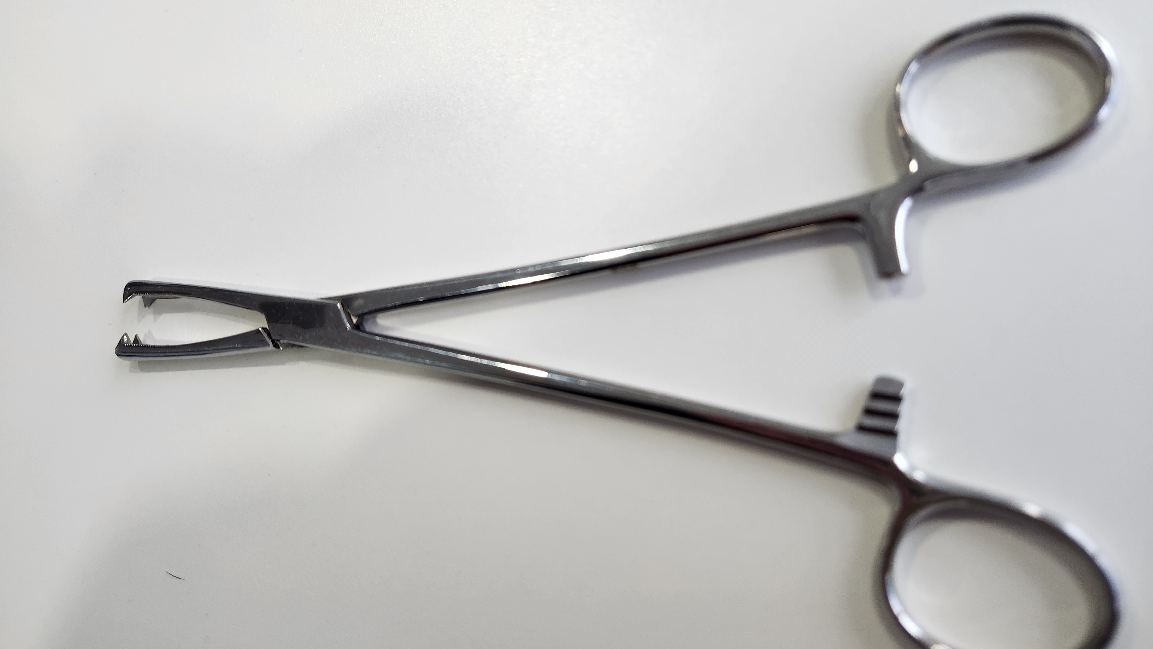 <p>what instrument is this</p>
