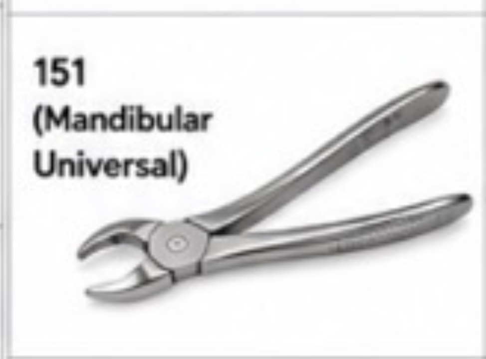 <p>151 Forceps (Mandibular Universal)</p>