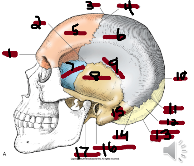 <p>9</p>