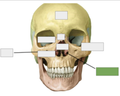 <p>This is the</p>