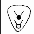 <p></p><p>A tooth cusp pattern with a V-shaped arrangement of cusps, typically seen insectivores</p>