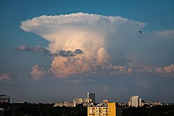 <p>Name this cloud, it’s abbreviation and explain its unique features along with weather patterns associated with this cloud.</p>