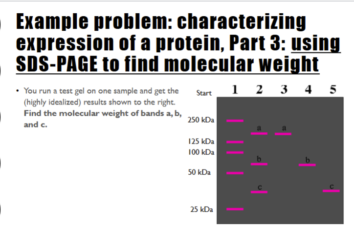 <p>Solve the problem</p>