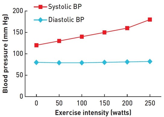 <ul><li><p>blood pressure</p><ul><li><p>the pressure exerted by the blood against the walls of the arteries during different phases of the heart, </p></li><li><p>blood pressure = systolic/diastolic mmHg (millimitres of mercury).</p></li><li><p>systolic - when the left ventricle contracts</p></li><li><p>diastolic - when the left ventricle relaxes</p></li><li><p>120/80 mmHg = normal bp at rest. (120 systolic, 80 diastolic).</p></li></ul></li><li><p>purpose</p><ul><li><p>systolic bp - increases with all types of exercise. during continuous exercises such as running, can increase to 180-200 mmHg (however vasodilation buffers this rise). during resistance-type exercise, can increase to 480 mmHg.</p></li><li><p>diastolic bp - stays the same during whole body continuous exercises, abnormal to increase more than 10 mmHg. but increases during resistance-type exercise, and can reach 350 mmHg.</p></li></ul></li></ul><p></p>
