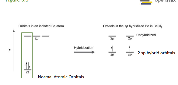 <p>This orbital energy-level diagram shows the sp hybridized orbitals on Be in the linear BeCl2 molecule. Each of the two sp hybrid orbitals holds one electron and is thus?</p>