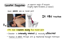 <p>IR ABd traction</p>
