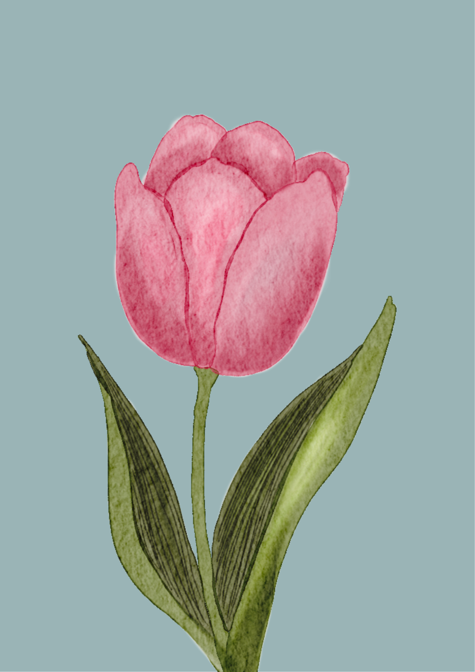 <p> </p>
