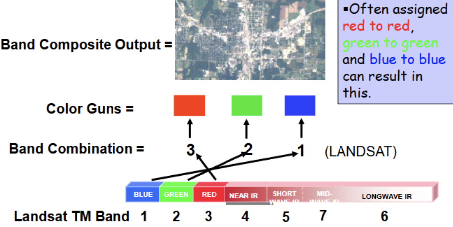 <p><span style="background-color: transparent;">Bands are assigned to color channels in such a way that colors in the image roughly correspond with the colors in the real world</span></p>