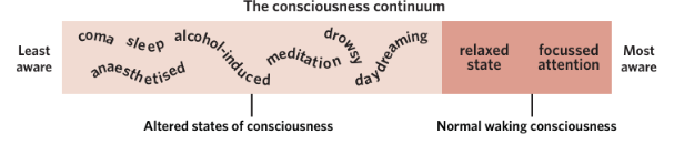 <p><span style="background-color: inherit; line-height: 20.7px; color: windowtext;">The <strong>consciousness continuum</strong> is a visual representation of the different states of consciousness that progress from lower levels of awareness to higher levels of awareness</span><span style="line-height: 20.7px; color: windowtext;"> </span></p>