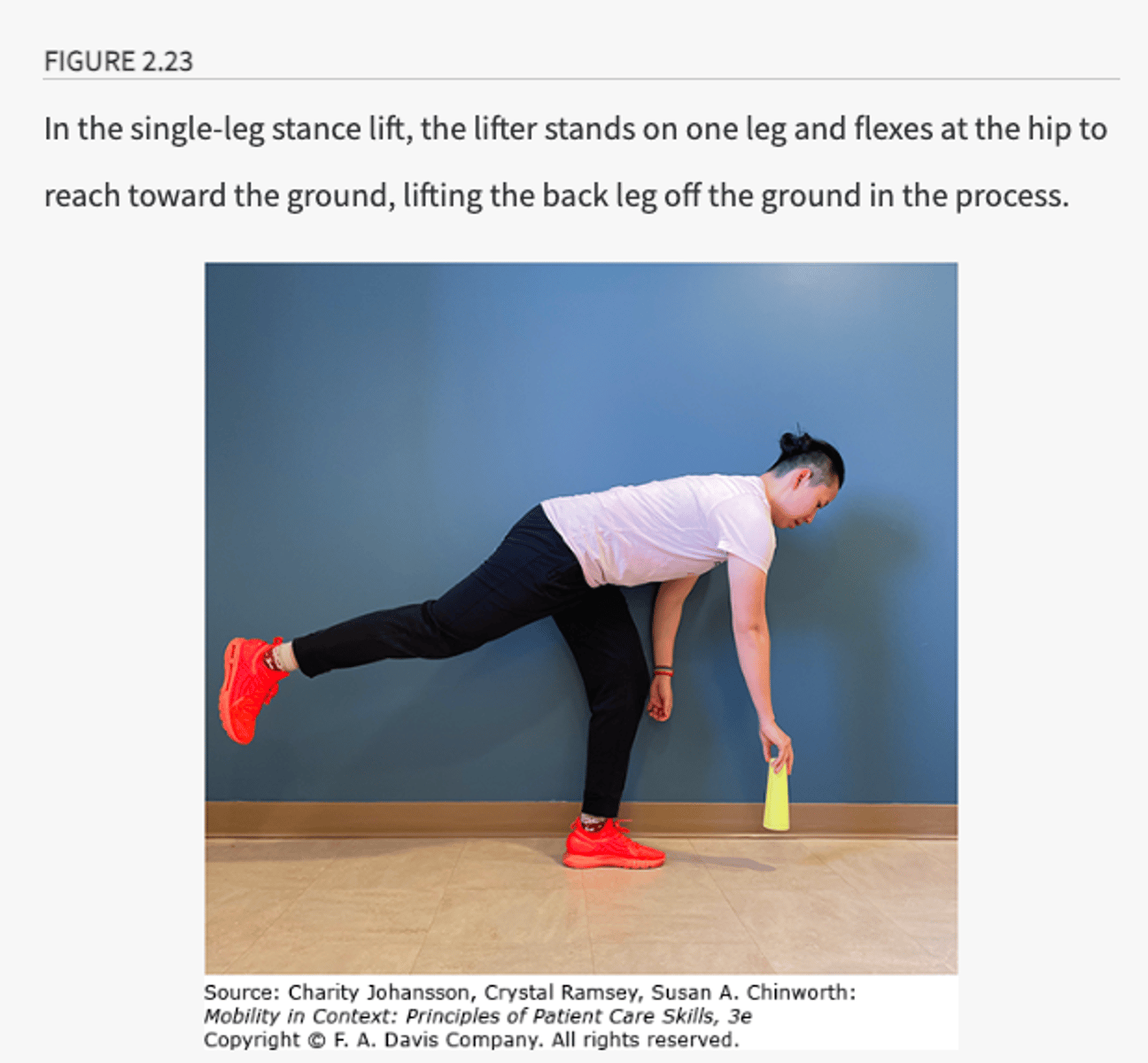 <p>stand of one leg and flex at the hip to reach toward the ground while lifting back left off the ground, keep neutral spine</p>