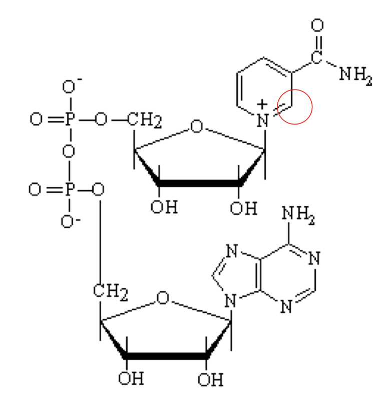 <p>what structure is this?</p>