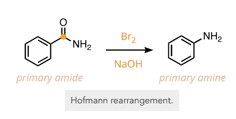 <p>primary amine</p>