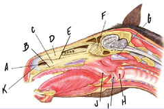 <p>What is E?</p>