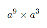 term image