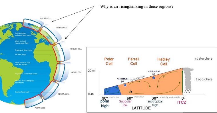 <p>why does air rise/ sink in certain regions:</p>