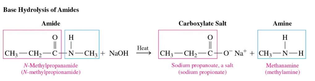 <p><span>Basic hydrolysis of an amide involves heating it with a strong base (e.g., NaOH) to yield a carboxylate salt and an amine or ammonia.</span></p>