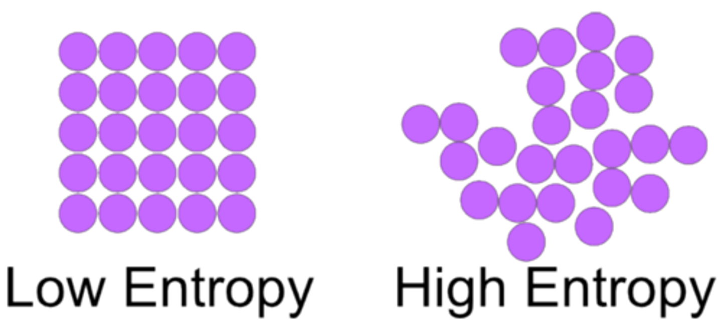 <p>Entropy</p><p>https://www.khanacademy.org/science/biology/energy-and-enzymes/the-laws-of-thermodynamics/v/introduction-to-entropy</p>