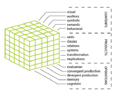 <p>Structure of Intellect Theory</p>