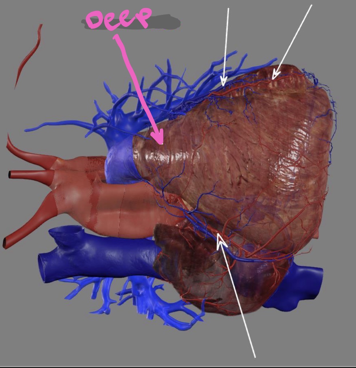 <p>What’s the highlighted area?</p>
