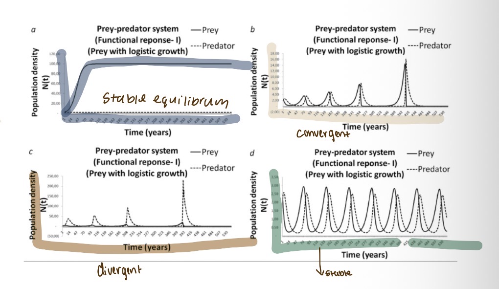 <p>A stable oscillation, Stable equilibrium with no oscillation, Convergent oscillation and divergent osciallion leading to the extinction</p>