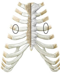 <p>Identify the structure</p>