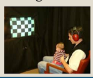 <p>describe prosociality in infancy:</p>