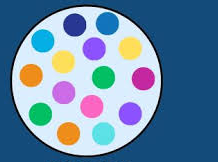 <p>WHAT IS THIS ?</p>