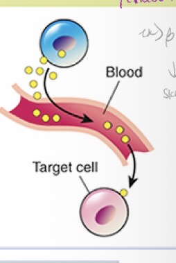 <p>Cell Signaling</p>