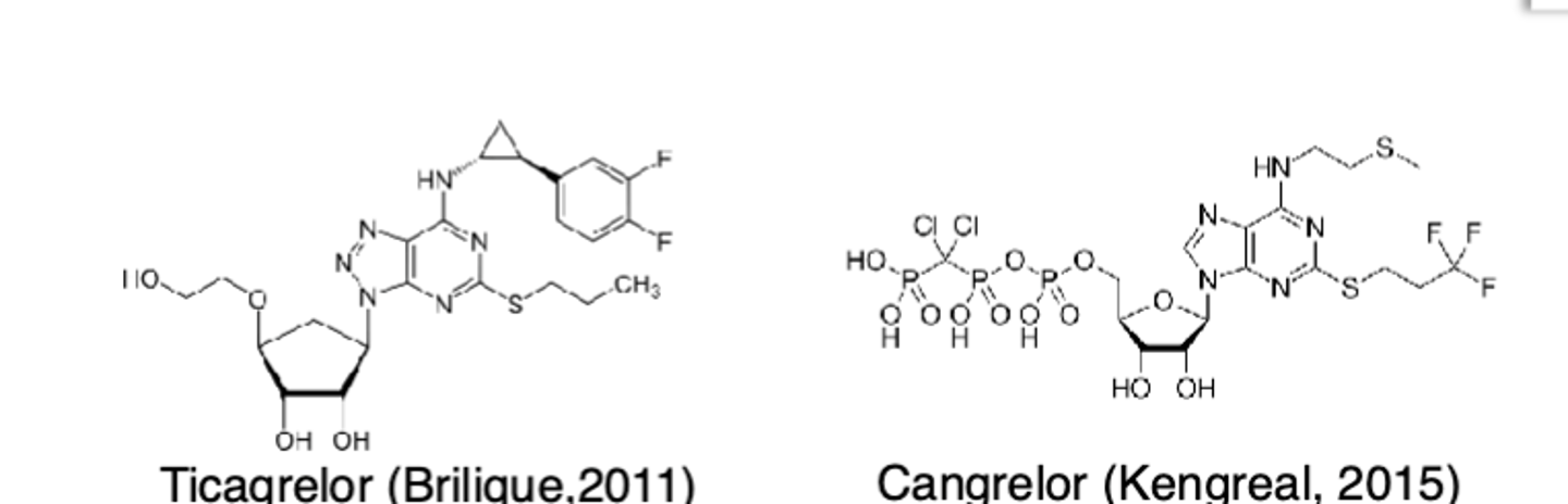 <p>• Antiplatelet</p><p>• MOA: Prevents binding of ADP to the P2Y12 receptor to prevent ADP-mediated platelet aggregation</p><p>• Absorption: IV administration</p><p>• Metabolism: Dephosphorylation</p><p>• Excretion: Urine</p><p>• T1/2: 3 - 6 minutes; platelet inhibition during infusion</p><p>• Monitoring: No laboratory monitoring; s/sx of bleeding</p><p>• Indication: Acute ACS only (need to give prasugrel or plavix after infusion is stopped) </p>