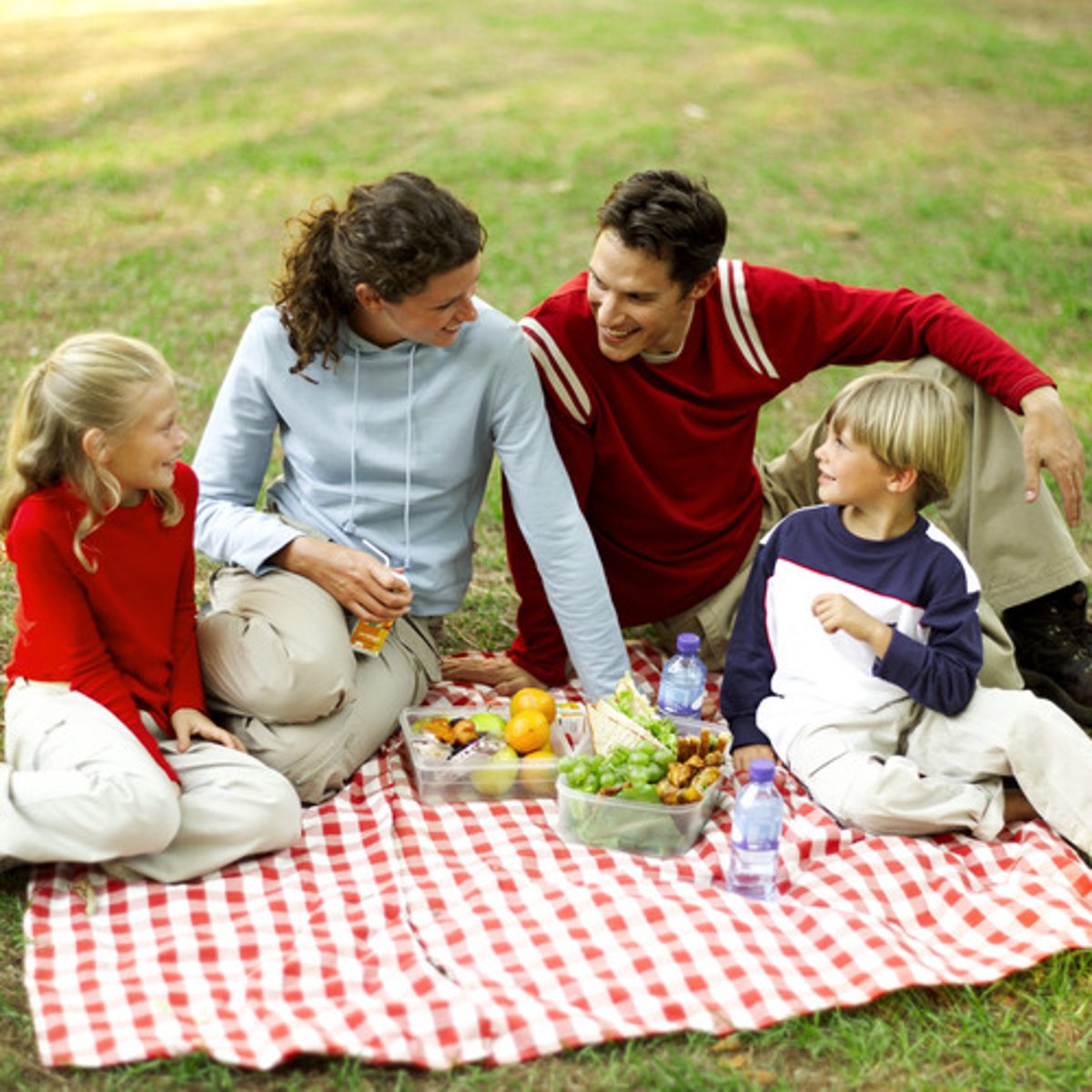 <p>/hæv ə ˈpɪknɪk/ Đi dã ngoại. We had a picnic in the park.</p>