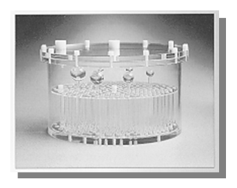 <p>What SPECT phantom is depicted?</p>