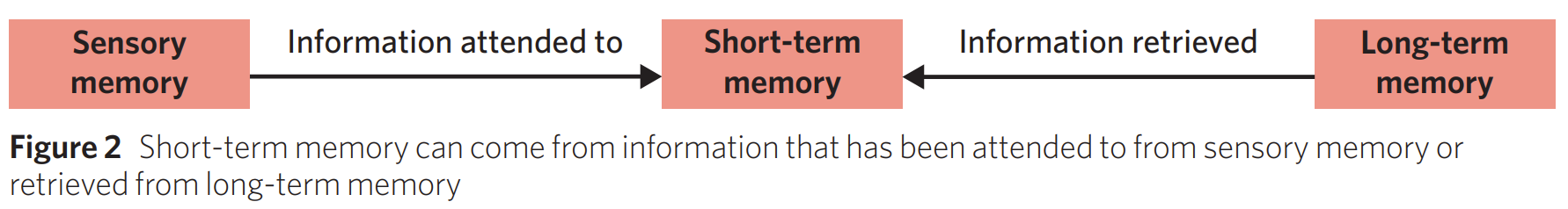 <p>Short-term memory - a store of memory that temporarily stores a limited amount of info that is consciously being attended to and actively manipulated.</p><ul><li><p><span>Info in STM can come both from sensory or long-term memory</span></p></li><li><p><span>Info from sensory memory (which you have paid attention to) will move into STM</span></p></li><li><p><span>Info from LTM (that you retrieve) can move to conscious awareness (therefore exist in STM)</span></p></li></ul><p> </p><ul><li><p><span>STM aka 'working memory' bc you're aware of all info held in this memory store + are consciously manipulating ('working') on it.</span></p><ul><li><p><span>limited capacity of 5-9 items (no. of items that can be actively 'worked on' at any one time)</span></p></li><li><p><span>Duration of STM = 18-30 secs for most people</span></p><ul><li><p><span>Info begins to fade after 18-20secs -> but possible for some info to remain in STM up to 30secs</span></p></li></ul></li></ul></li><li><p><span>Manipulating info involve updating, adding, changing info in some way</span></p><ul><li><p><span>Involves process of rehearsal -> indv. can rehearse info by repeating it/linking to other pieces of info prev. learnt</span></p></li><li><p><span>Helps encode info from STM into LTM where it can be stored.</span></p></li></ul></li><li><p><span>If info in STM is not processed and encoded into LTM, it can be:</span></p><ul><li><p><span><strong>Displacement</strong> - pushed out by new incoming info</span></p></li><li><p><span><strong>Decay</strong> - fade away on its own after duration of STM has expired</span></p></li></ul></li></ul><p></p>