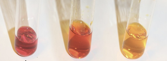 <p>The image shows the result of a <strong>Methyl Red IMViC test</strong>. Interpret the result.</p>