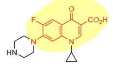 <p>Fluoroquinolone, Bacterial DNA gyrase inhibitor (inhibit DNA replication)</p>