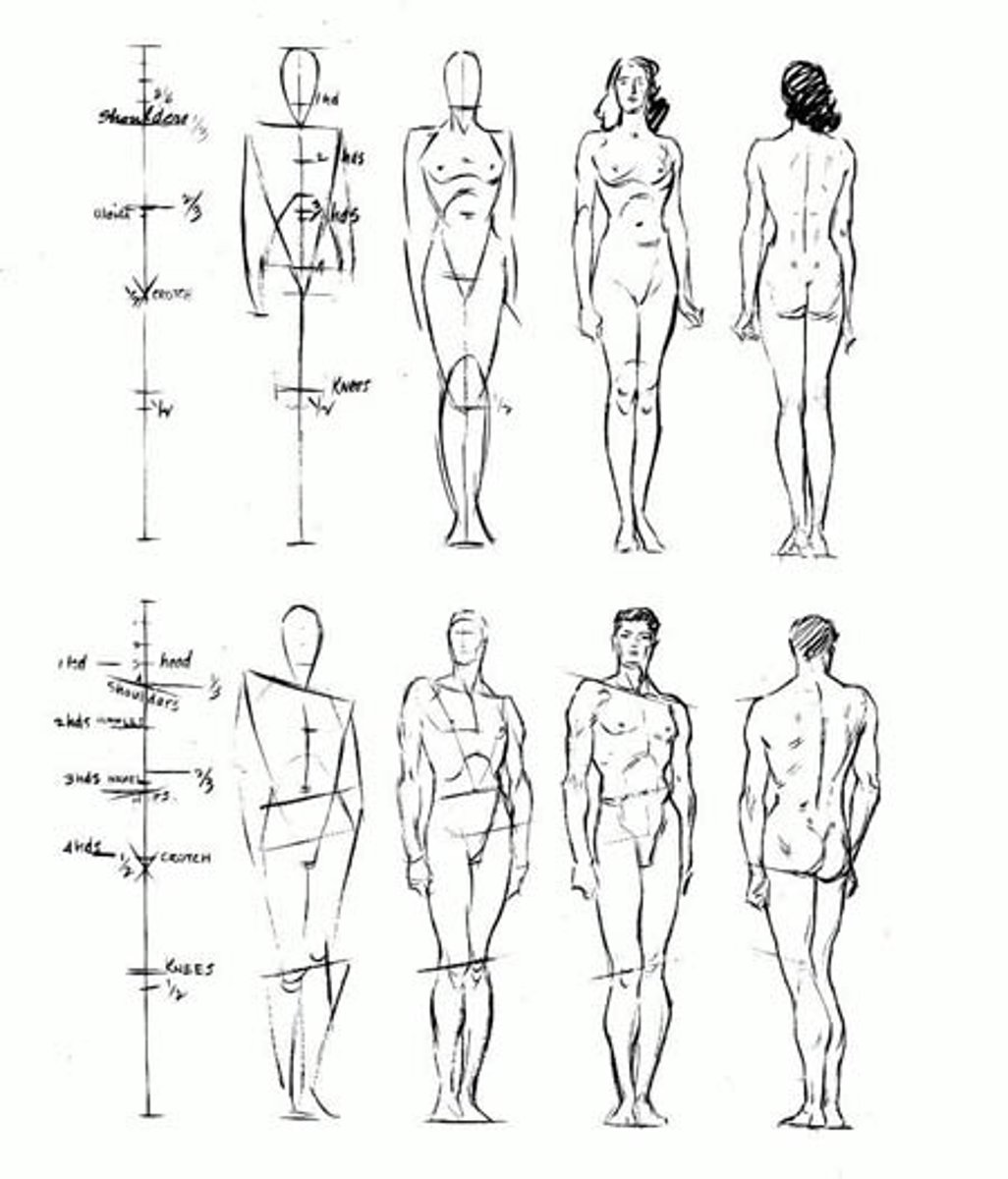 <p>an attractive shape</p>