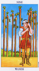 <p>Strength, Holding One's Ground</p>