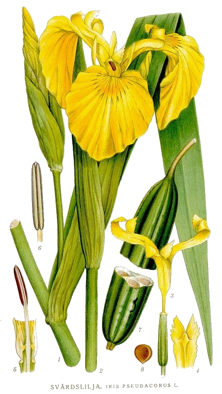 <p></p>